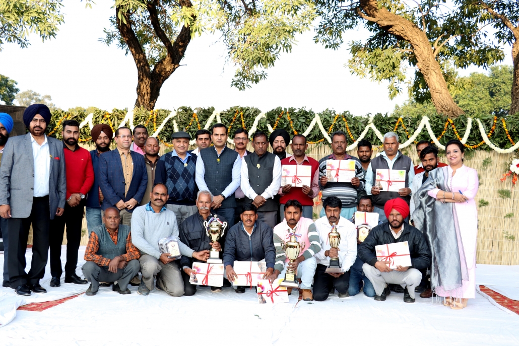 Mayor distributes prizes to winners of Chrysanthemum show