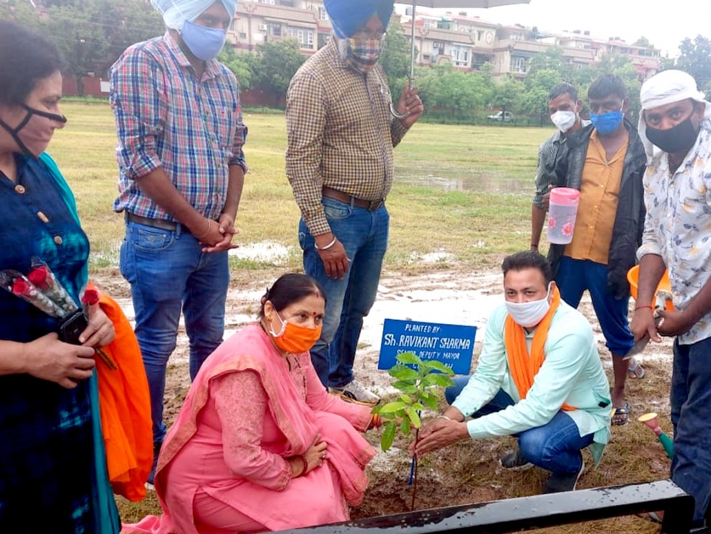 Tree Plantation drive at ward No. 13