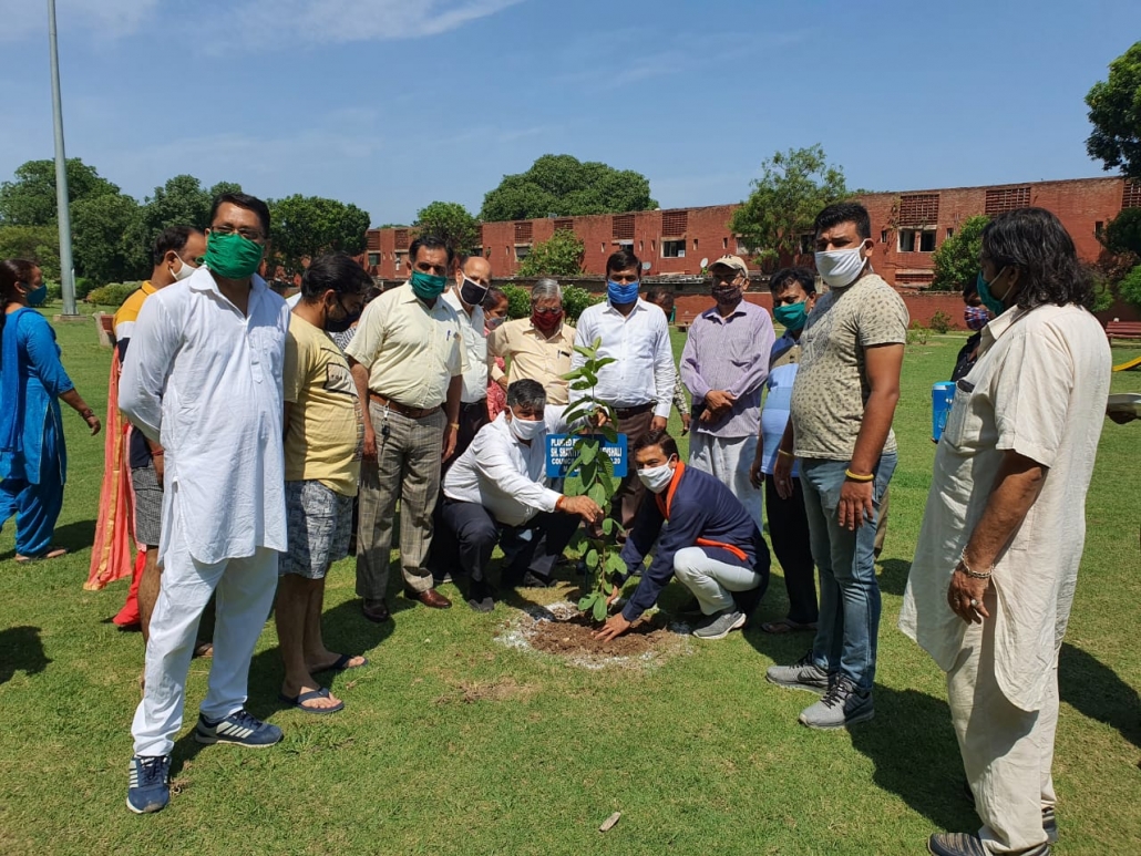 Tree Plantation drive at Pinkcasia Garden Sector 29