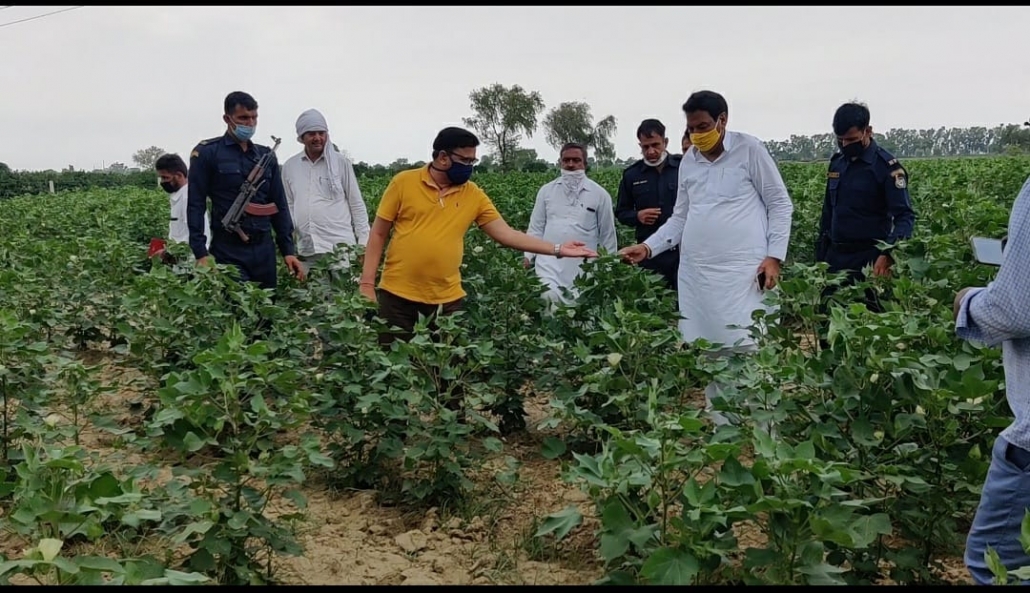 टिड्डी दल को लेकर बिजली मंत्री चौधरी रणजीत सिंह ने किया विधानसभा क्षेत्र रानियां के विभिन्न गांवों का दौरा