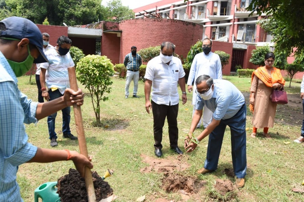 TREE PLANTATION DRIVE AND HAND MADE BAGS MADE BY CHILDREN OF CONSTRUCTION WORKERS LAUNCHED AT PANJAB UNIVERSITY