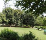 योग को बनाएं अपने जीवन शैली का हिस्सा, तन व मन के स्वास्थ्य के लिए योग जरूरी