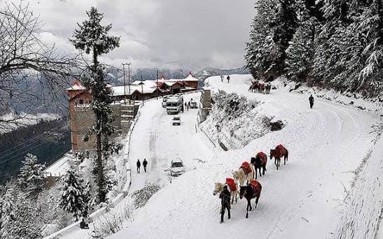 हिमाचल में सर्दी चरम पर: मैदानी इलाके भी शिमला से ज्यादा ठंडे, कई स्थानों का तापमान माइनस में पहुँचा